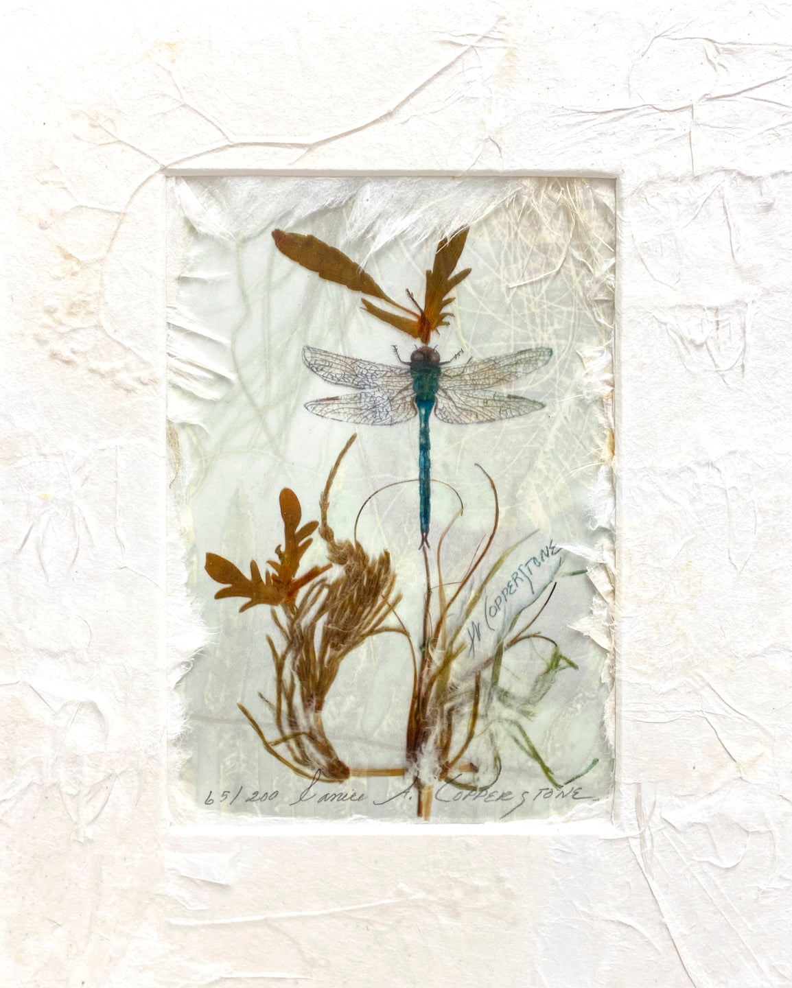 Dragonfly blank greeting card by Janice A. Copperstone of Milford, Mich.  Each card features a watercolor reproduction printed on transparency with a handmade paper background and border. 