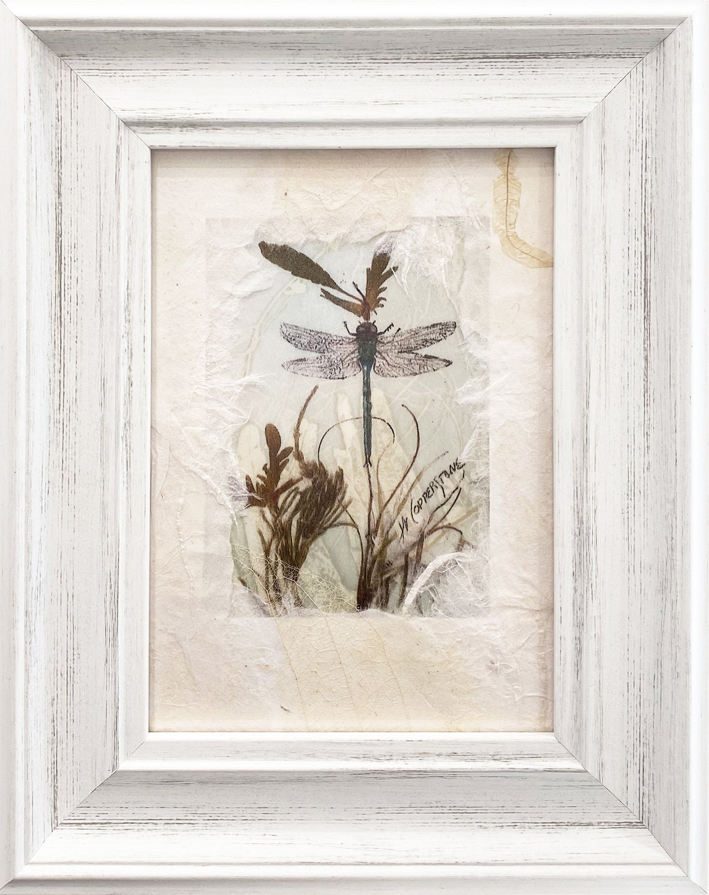 Framed dragonfly print by Janice A. Copperstone
