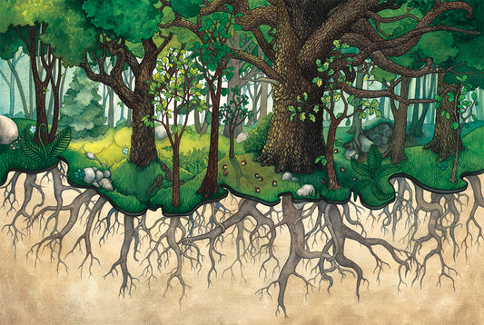 Family Roots fine art print. Jessica Waterstadt of Farmington, Mich., for the children's picture book, The Acorn & the Oak, written by the artist's mom, Rhonda Accardo.  
