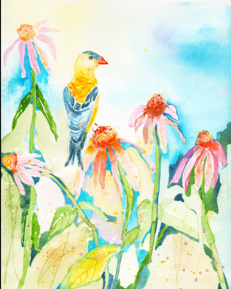 Gold Finch on Coneflowers by Megan Swoyer.  9 x 12. Watercolor on cold press fine art paper.