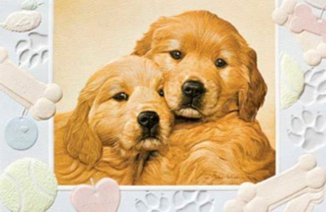 An embossed thank you card featuring a painting of cuddly golden retriever puppies.  Artwork by John Weiss.  Pumpernickel Press cards are made in USA. Includes 1 card and 1 envelope. 8-1/4" x 5-3/8"