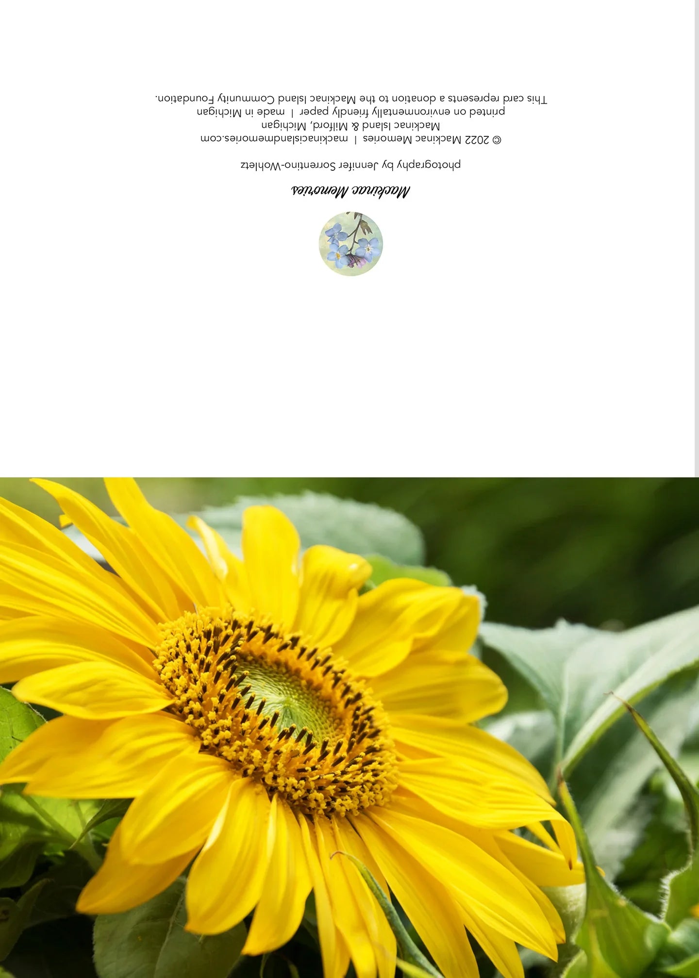 Blank greeting card featuring a photograph of a sunflower by local artist Jennifer Wohletz of Mackinac Memories.
