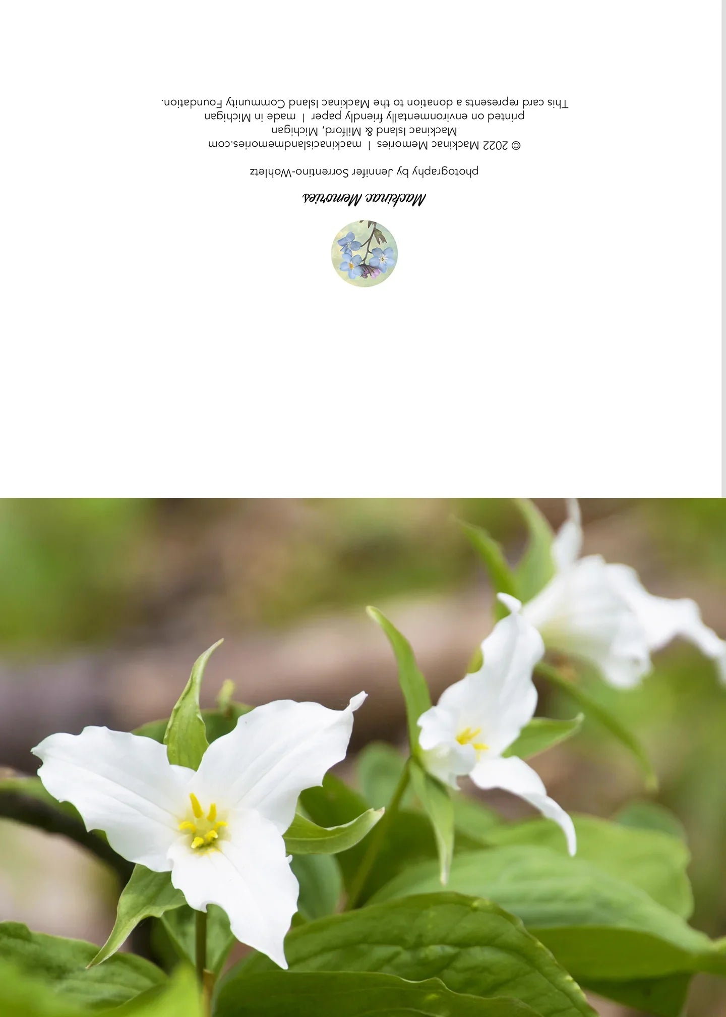 Blank greeting card featuring a photograph of trillium, a Michigan wildflower, by local artist Jennifer Wohletz of Mackinac Memories. 