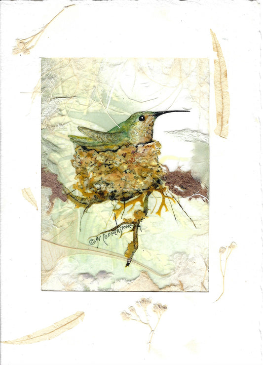 Hummingbird (Anna II) in Nest Blank Card