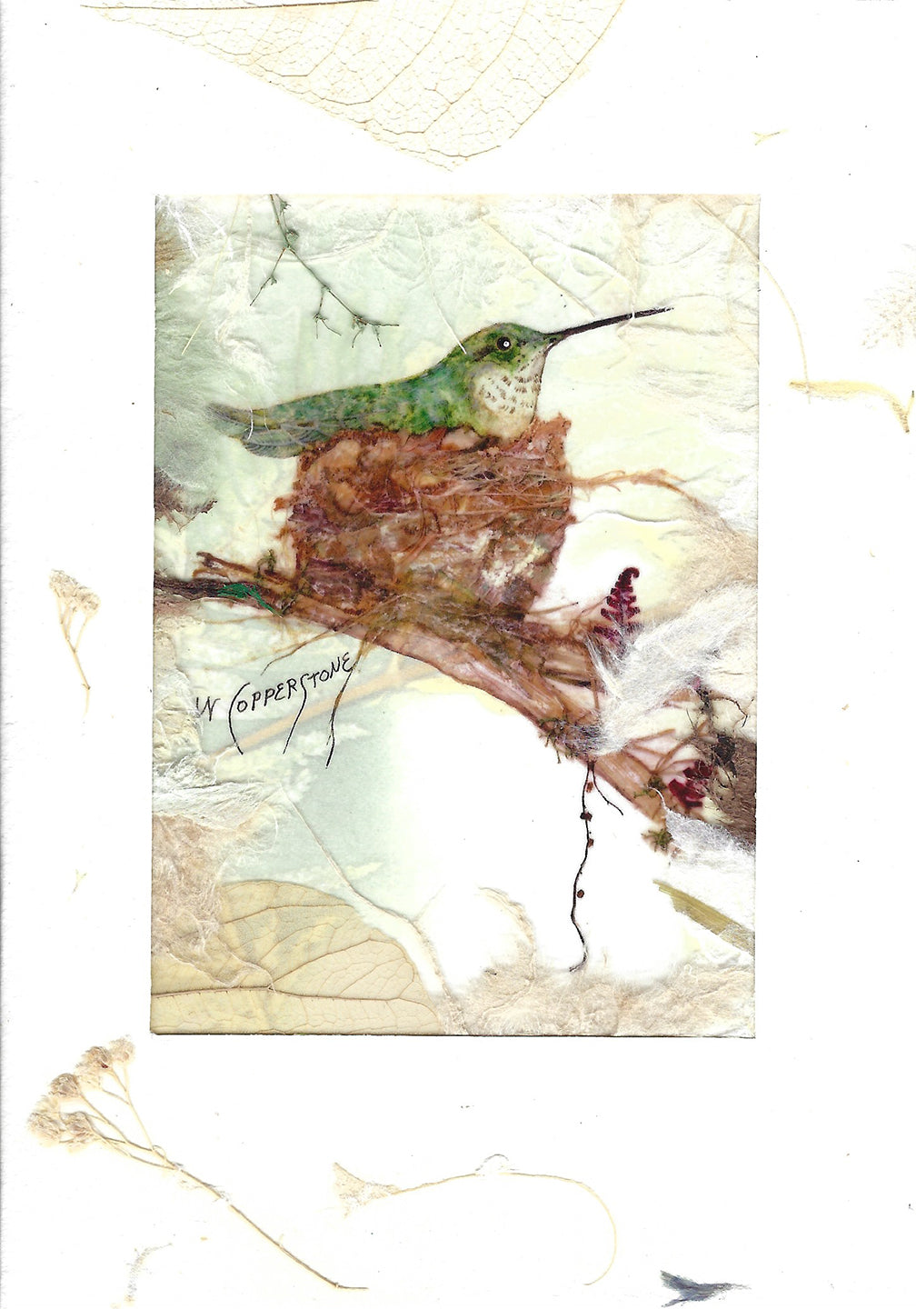 Hummingbird in Nest #3 - Blank greeting card by Janice A. Copperstone of Milford, Mich.  