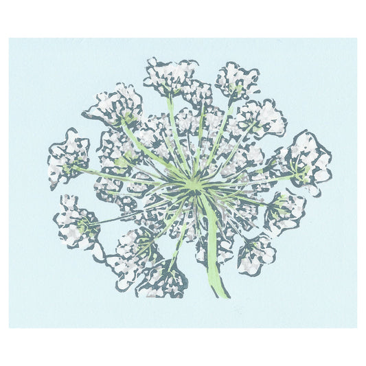 Queen Anne's Lace art by printmaker Natalia Wohletz of Peninsula Prints featuring the wildflower growing on Mackinac Island.