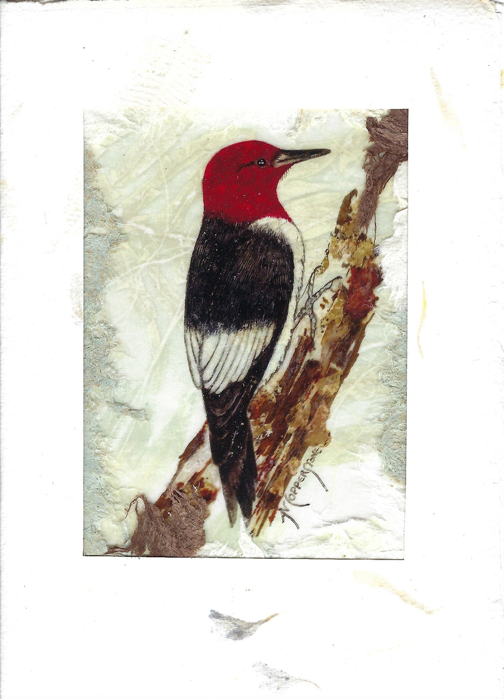 Woodpecker - Blank greeting card by Janice A. Copperstone of Milford, Mich.  