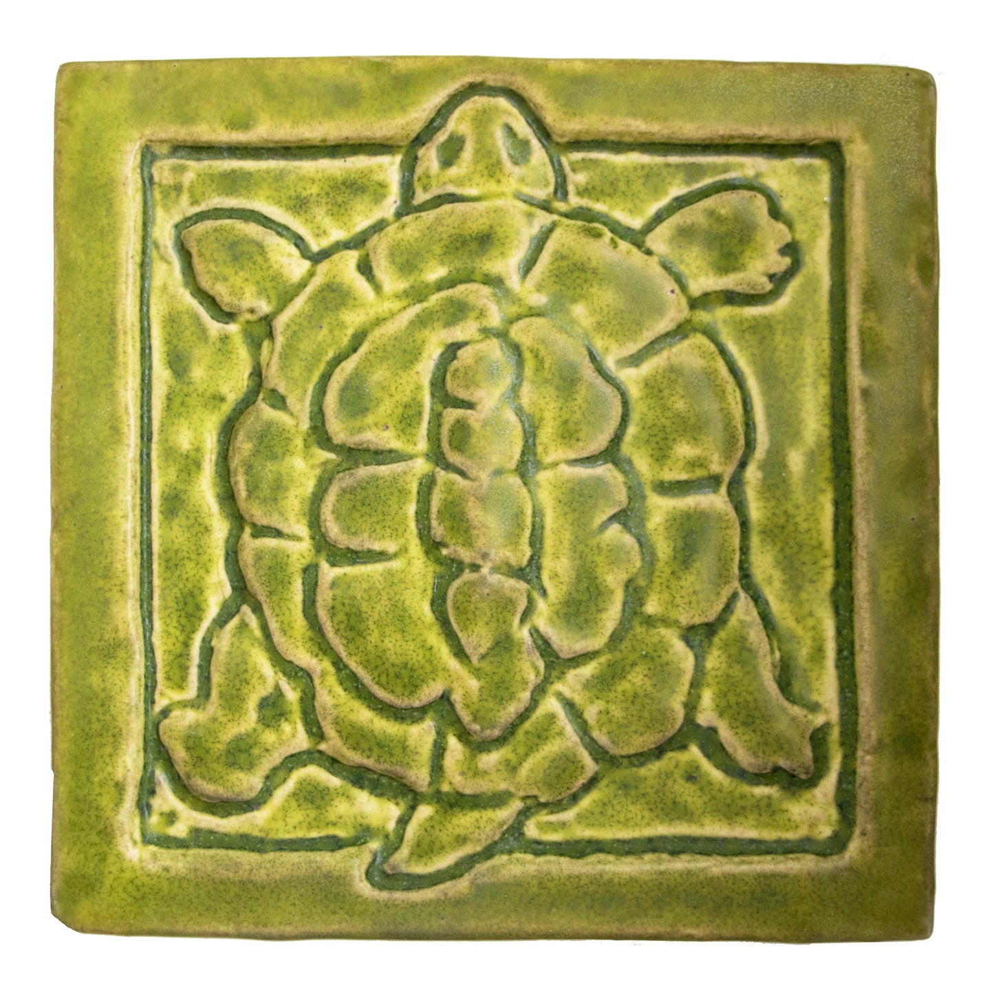 Turtle - 6 x 6 art tile