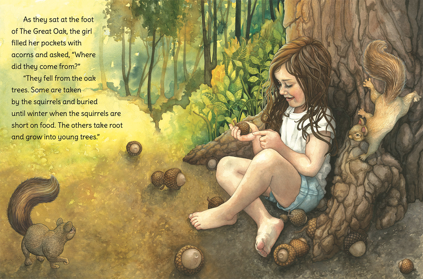 Acorn Riddles The Acorn & the Oak – children's book – Main Street Art