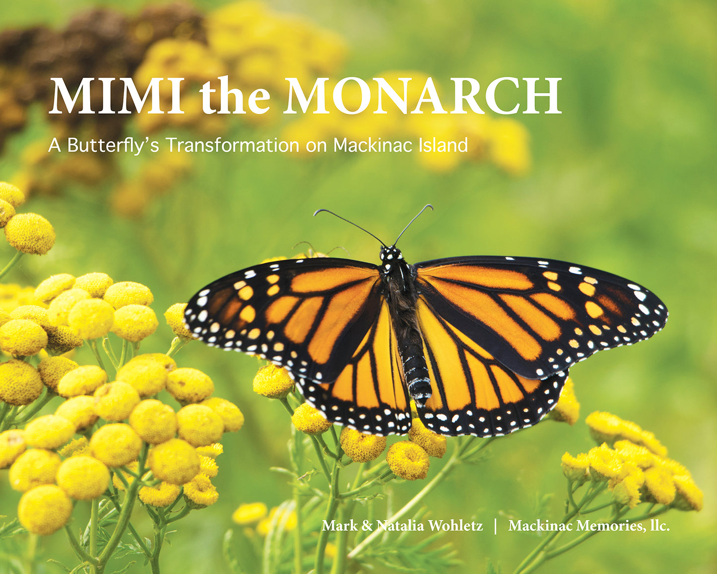 MIMI the Monarch, a children's science picture book.