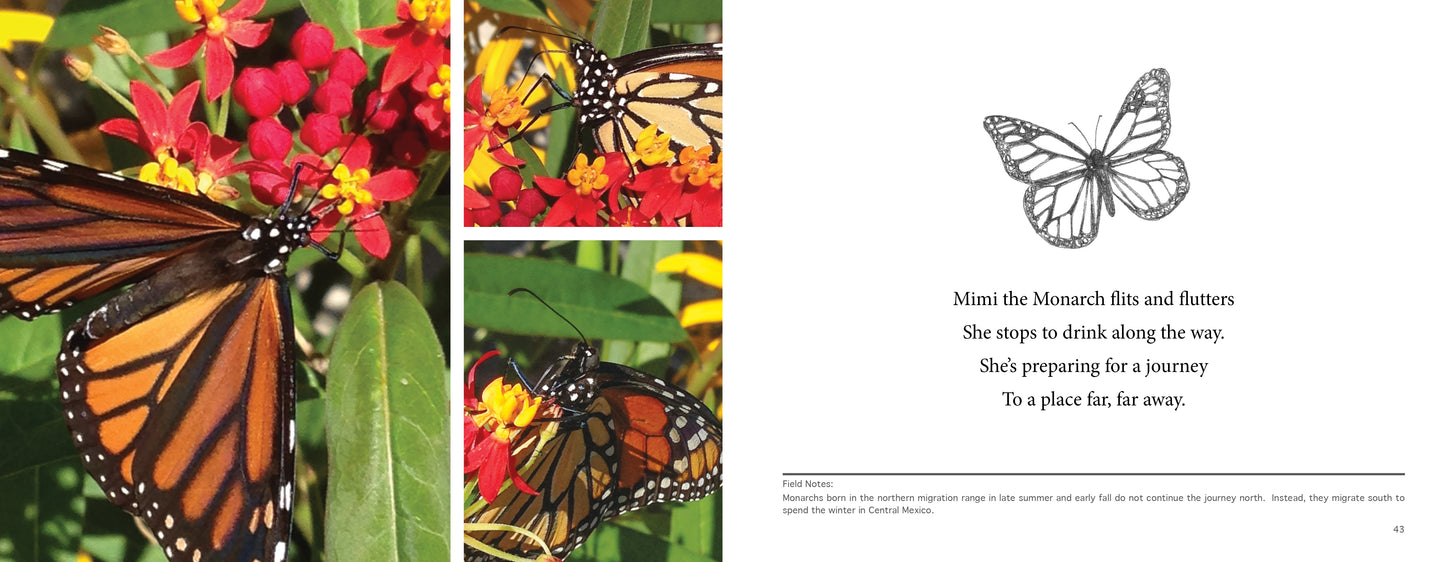 MIMI the Monarch, a children's science picture book. Learn about monarch migration.