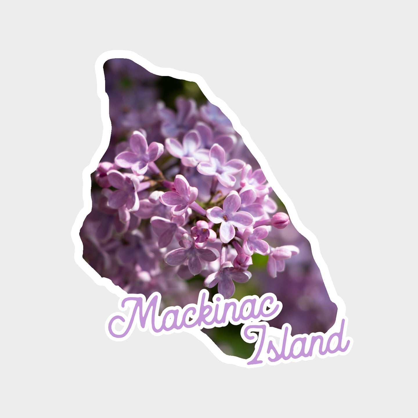 Lilacs Vinyl Sticker – Main Street Art