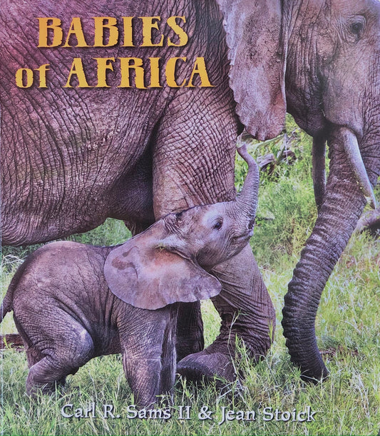 Babies of Africa Children's Book