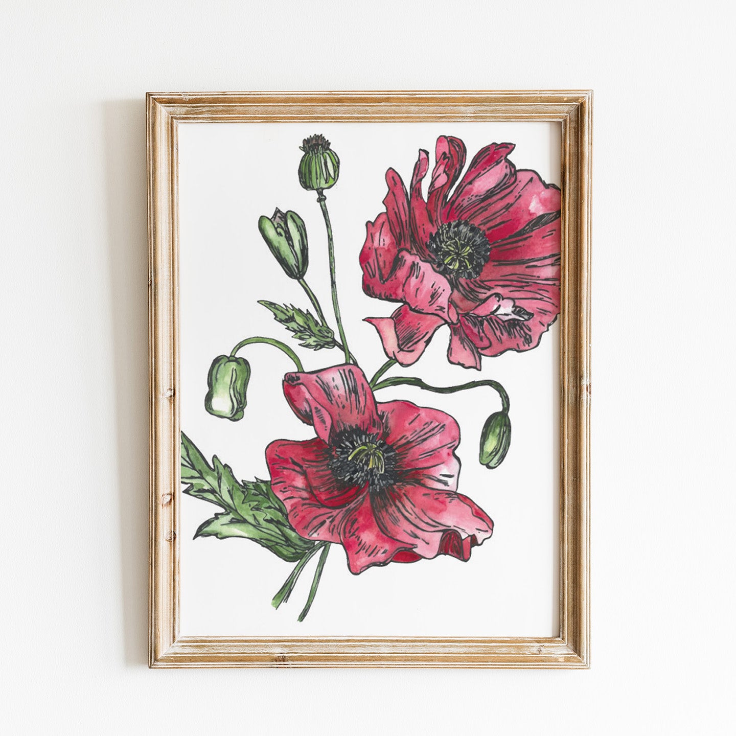 Red Poppies - Art Print