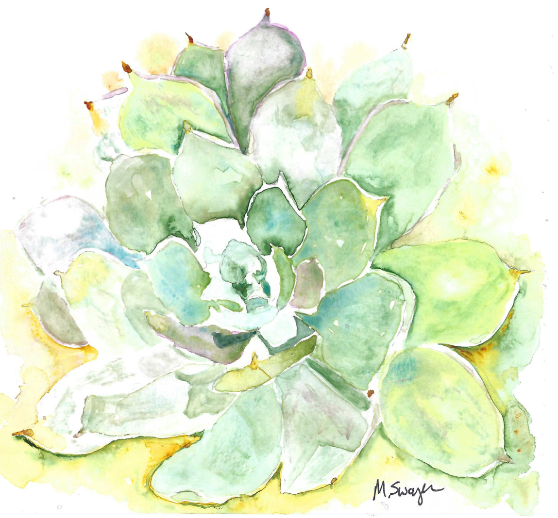 Succulent - watercolor