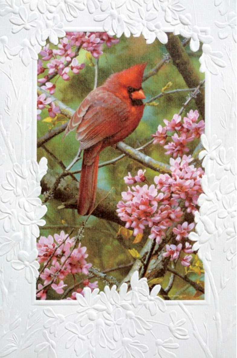 An embossed birthday card featuring one of America's most popular songbirds, the Northern Cardinal.  Artwork by Carl Brenders.  Pumpernickel Press cards are made in the USA using agricultural-based inks. 