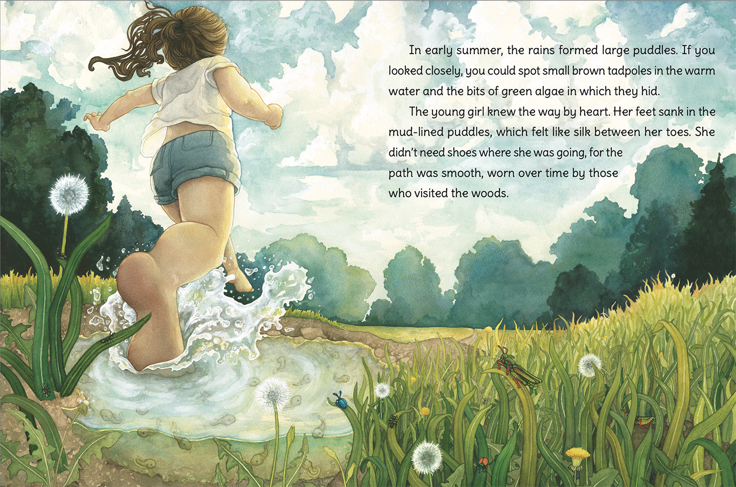 The Acorn & the Oak –  children's book