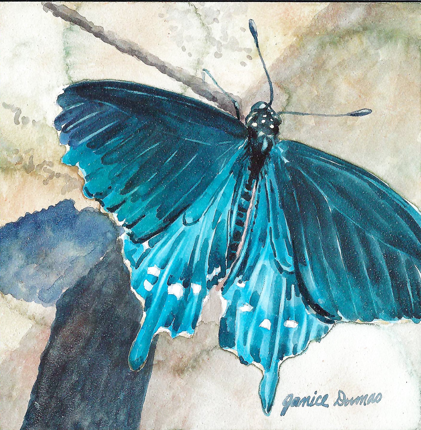 SwallowTail is an original watercolor on aquaboard by Michigan Artist Janice Dumas.