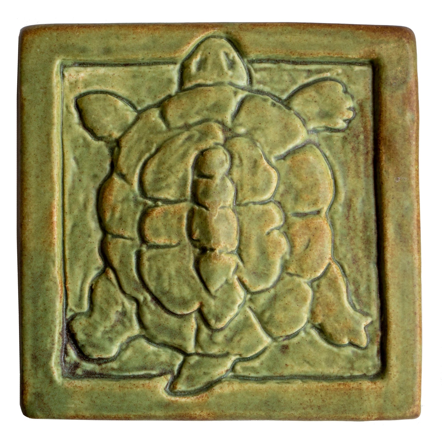 Turtle - 6 x 6 art tile