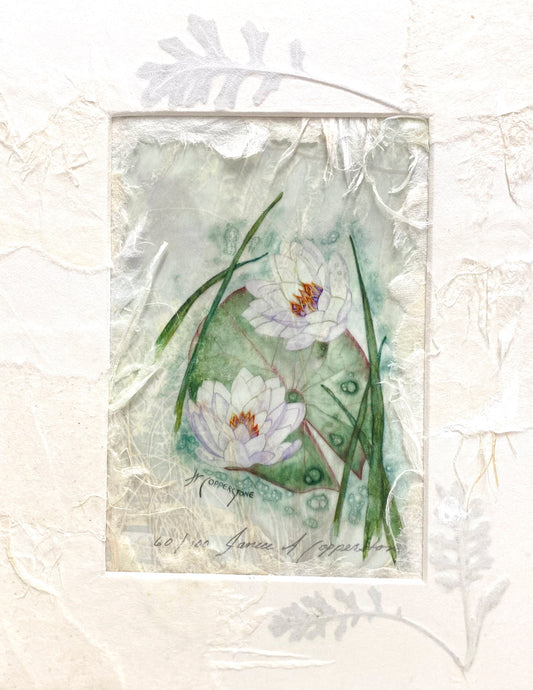 Peaches & Cream Waterlily Blank Card