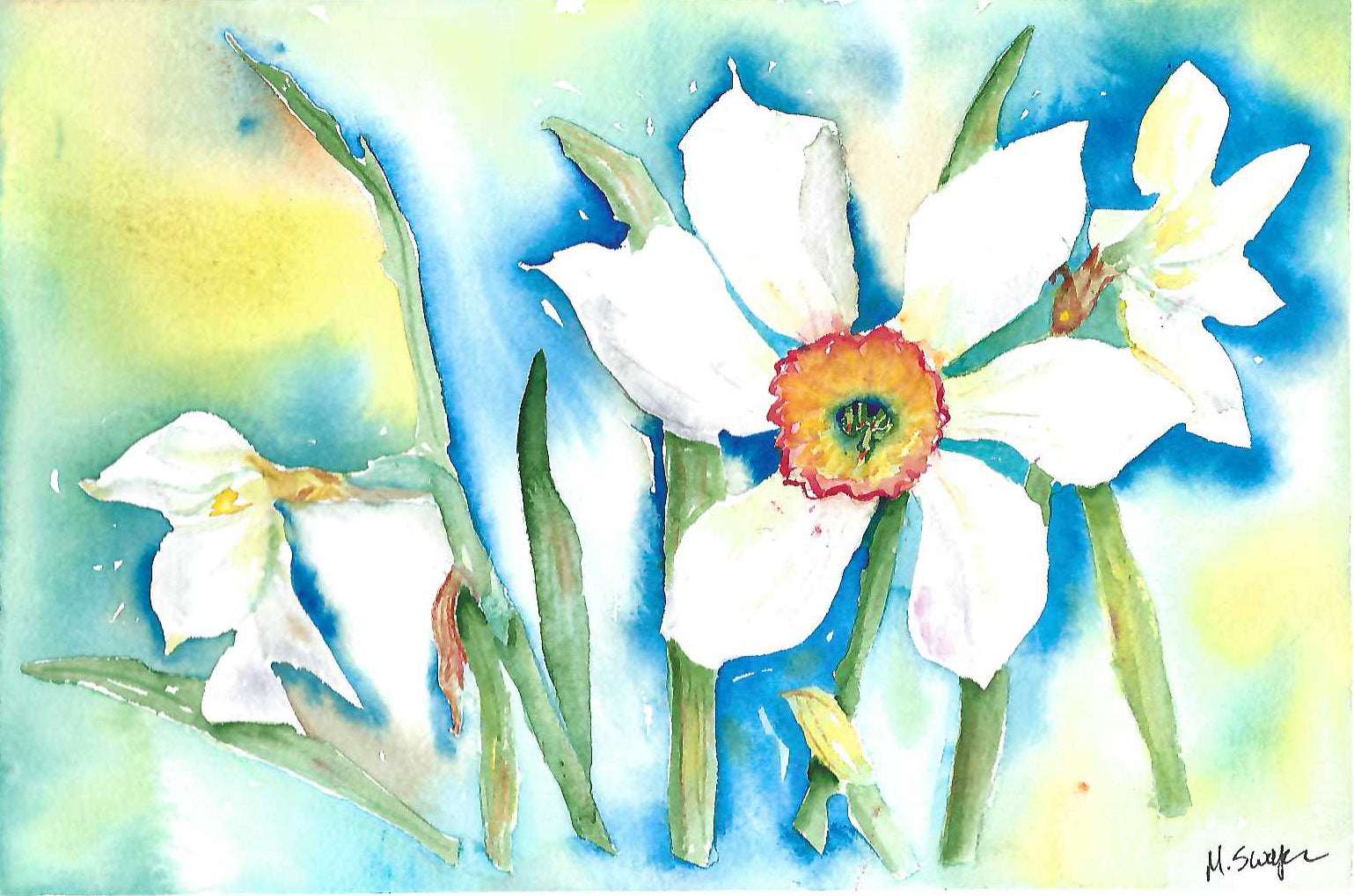 White Daffodil Surprise by Megan Swoyer.  11 1/2 x 7 1/2. Watercolor on cold press fine art paper.