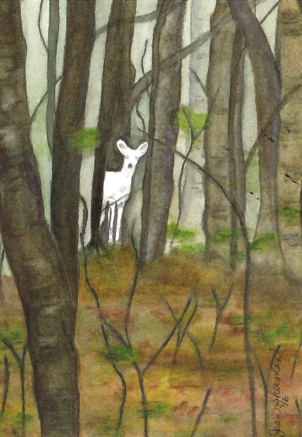 Postcard featuring a watercolor painting of the white deer in Kensington Metropark by the late Michigan artist Jean Sherman.