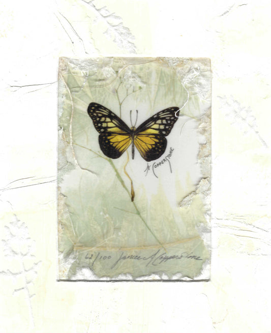 Yellow Glossy Tiger - Mixed Media by Janice A. Copperstone