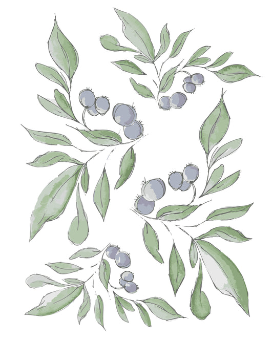 Blueberries - Fine Art Print