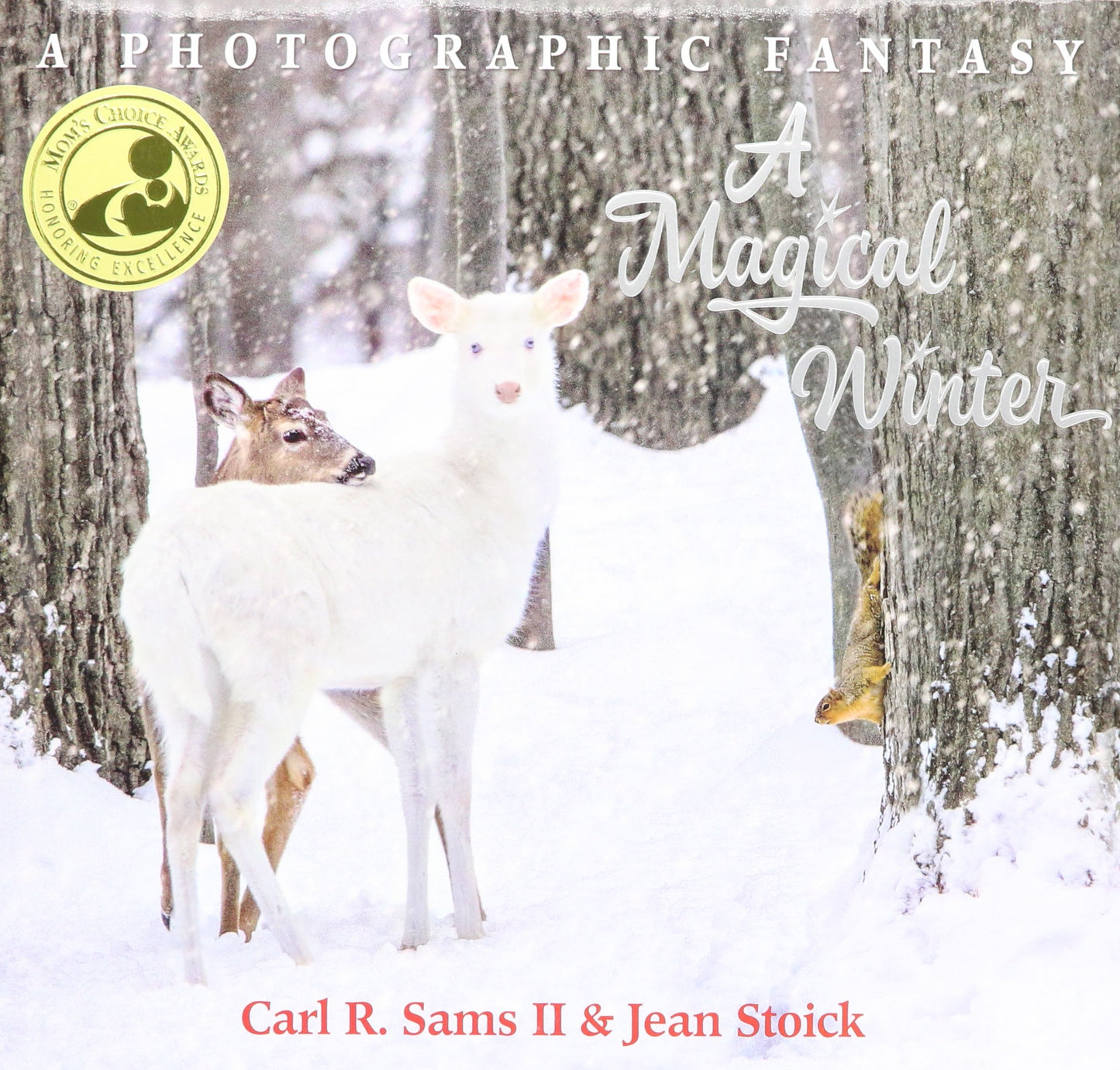 A Magical Winter Children's Book