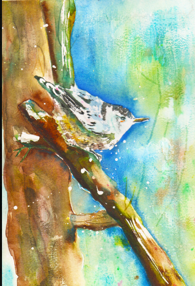 Nuthatch Nuance 2 by Megan Swoyer.  9 x 12. Watercolor on cold press fine art paper.