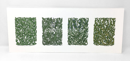 4 Herbs - Art Print