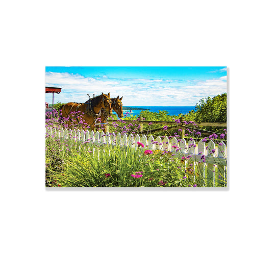 Mackinac Garden View Postcard