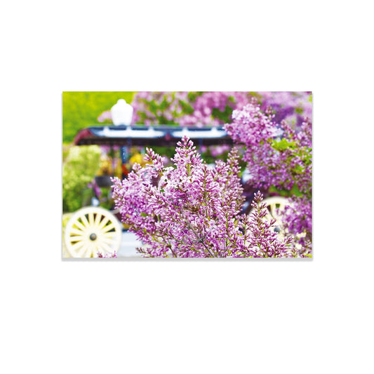 Lilac Time Postcard featuring a photography by Jennifer Wohletz of Mackinac Memories.