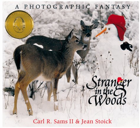 Stranger in the Woods Children's Book