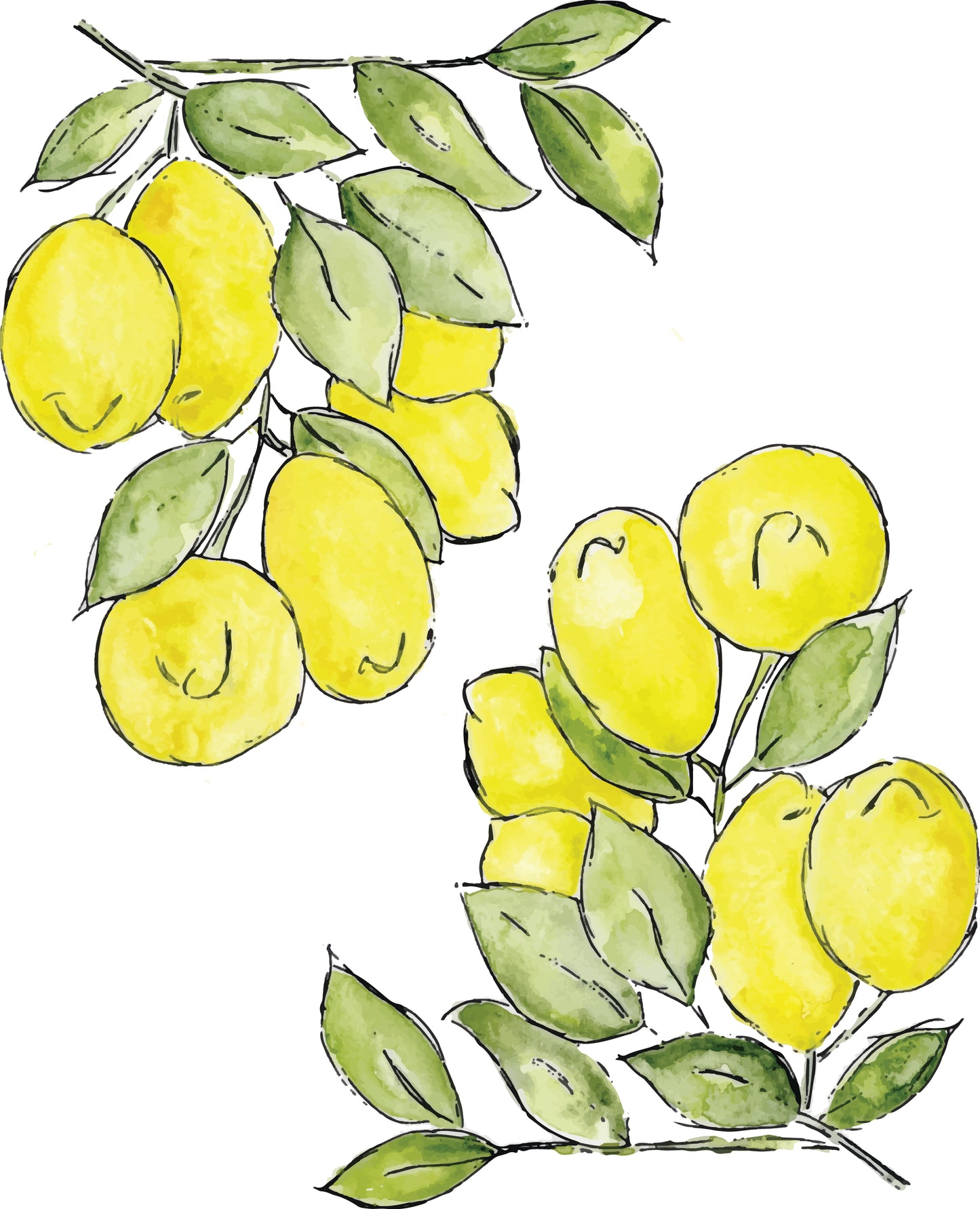 Lemons - Art Print