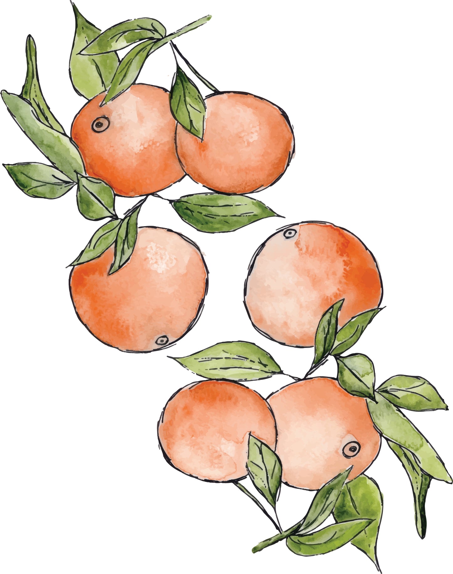 Oranges - Art Print